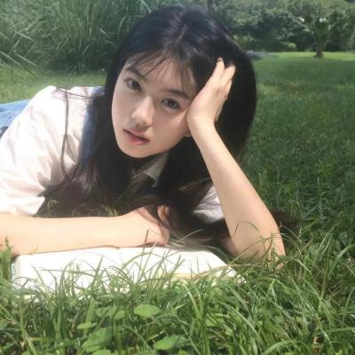 普罗旺斯惊魂记
