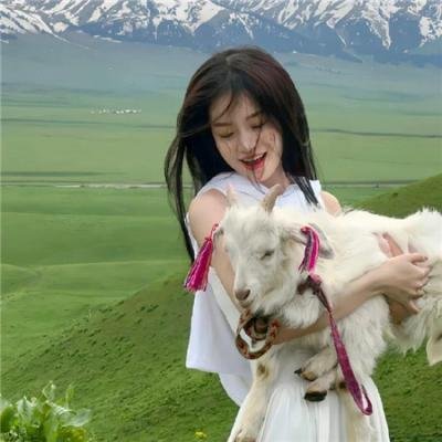 狂暴之旅